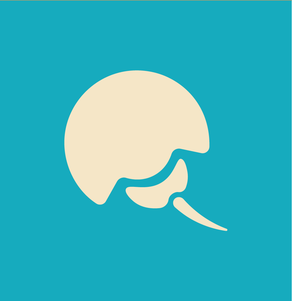 Iconocmesh-webp.webp